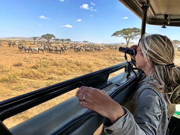 Wildlife viewing experience