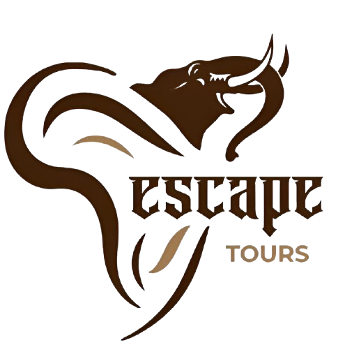 Escape Tours