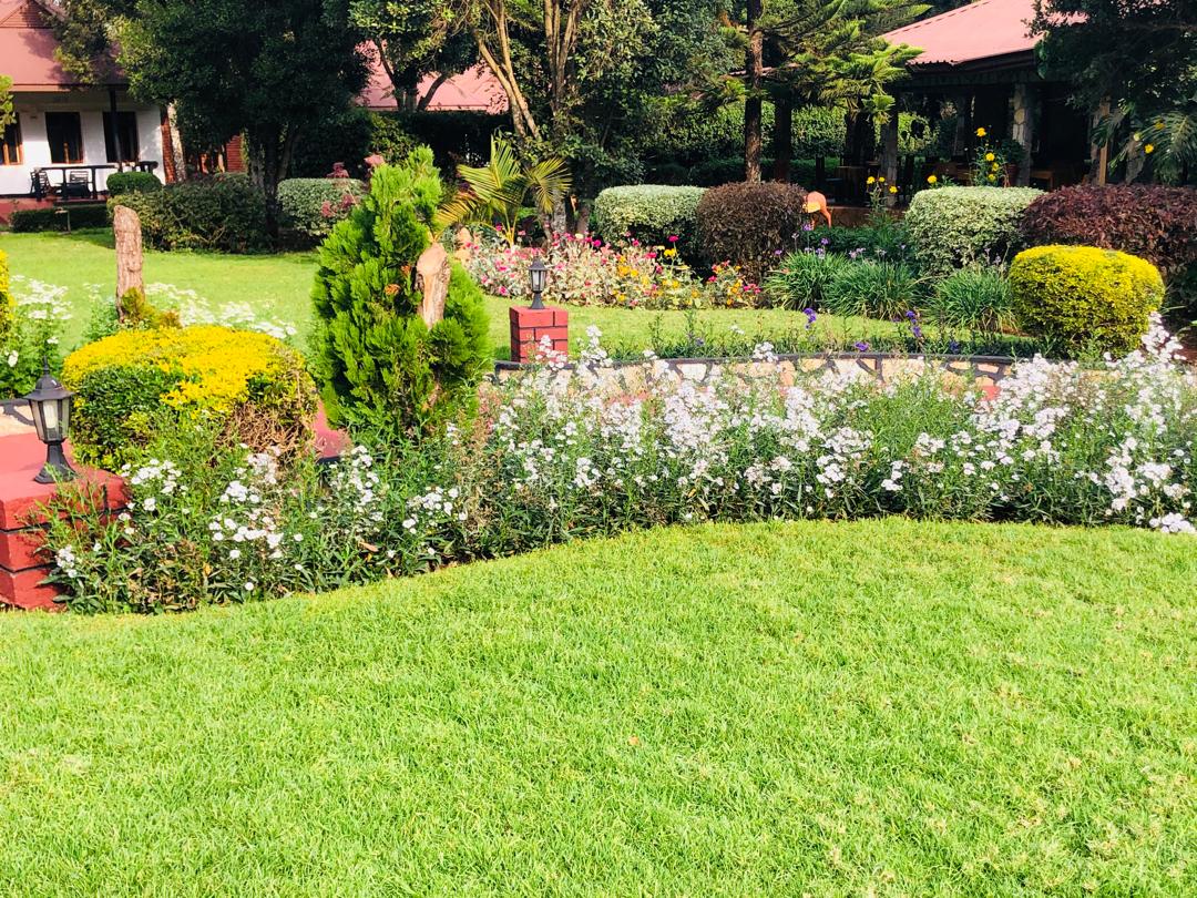 Beautiful flower gardens with colorful blooms