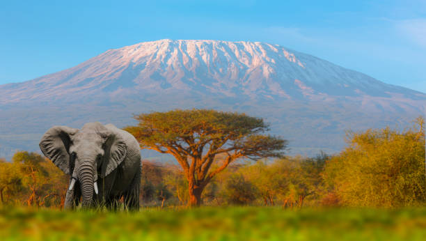 Machame Route