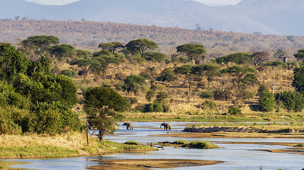 Ruaha National Park